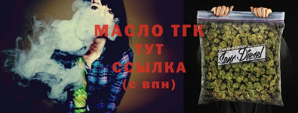индика Нязепетровск
