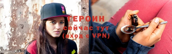 гидра Няндома