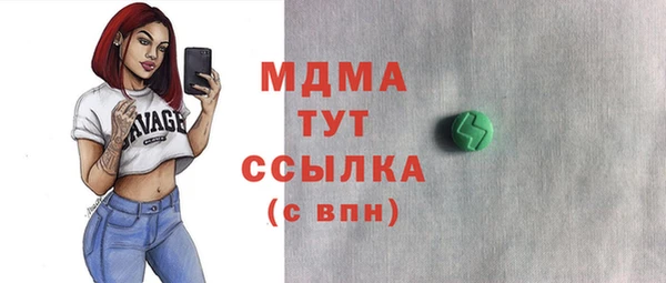 гидра Няндома