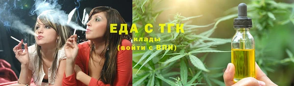 индика Нязепетровск