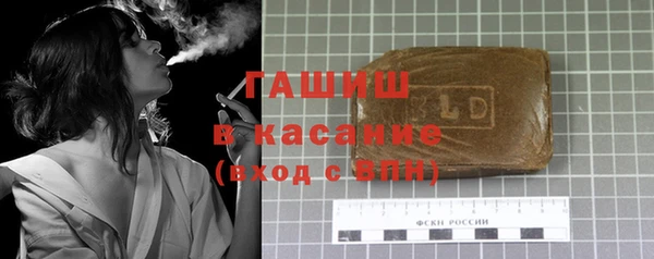 гидра Няндома