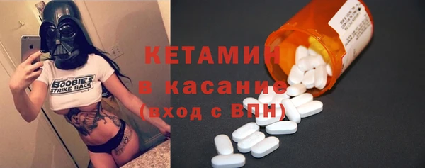 гидра Няндома