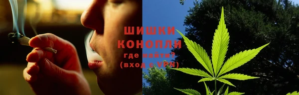 индика Нязепетровск