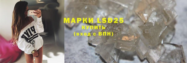 индика Нязепетровск