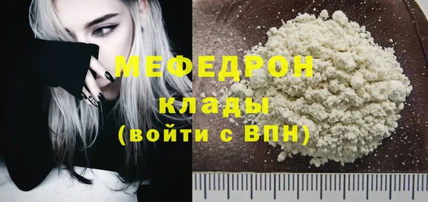 гидра Няндома