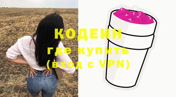 гидра Няндома