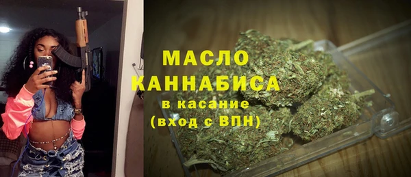 индика Нязепетровск