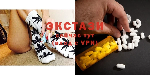 гидра Няндома