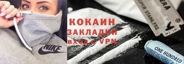 гидра Няндома