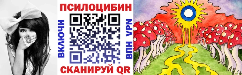 даркнет Telegram  закладки  Курганинск  Галлюциногенные грибы Psilocybe 