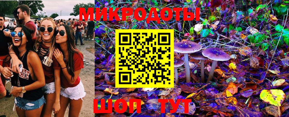 Галлюциногенные грибы GOLDEN TEACHER Курганинск