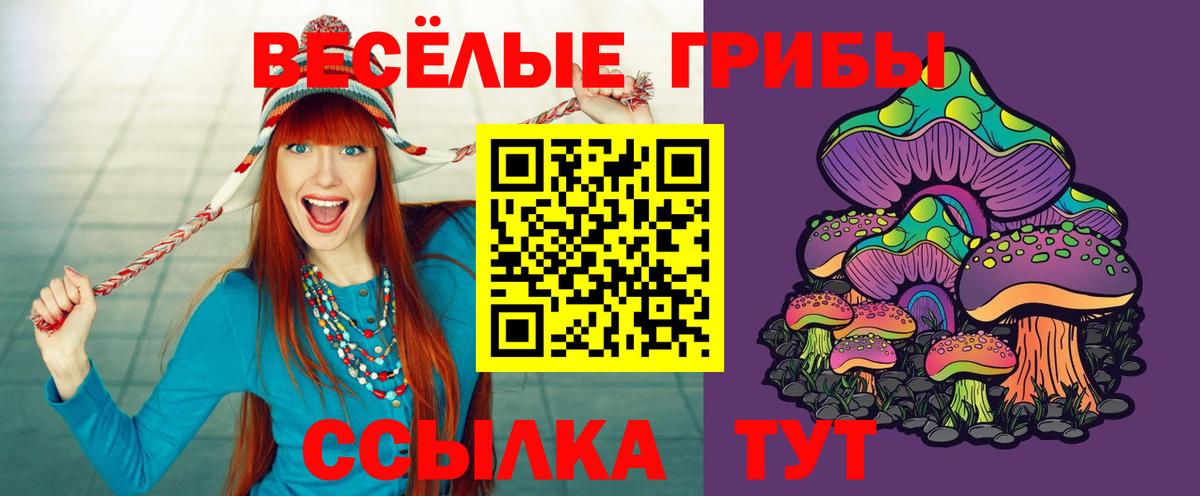 Галлюциногенные грибы Psilocybine cubensis  Курганинск  купить  сайты  Галлюциногенные грибы GOLDEN TEACHER 