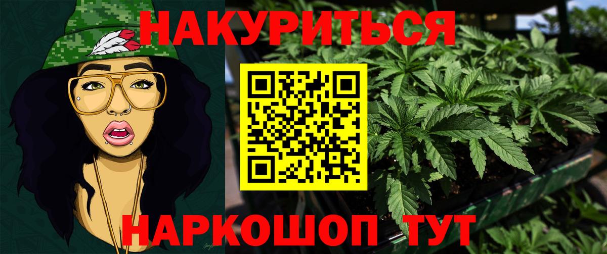 Канабис план Курганинск